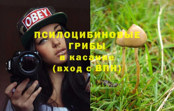 apvp Волгодонск